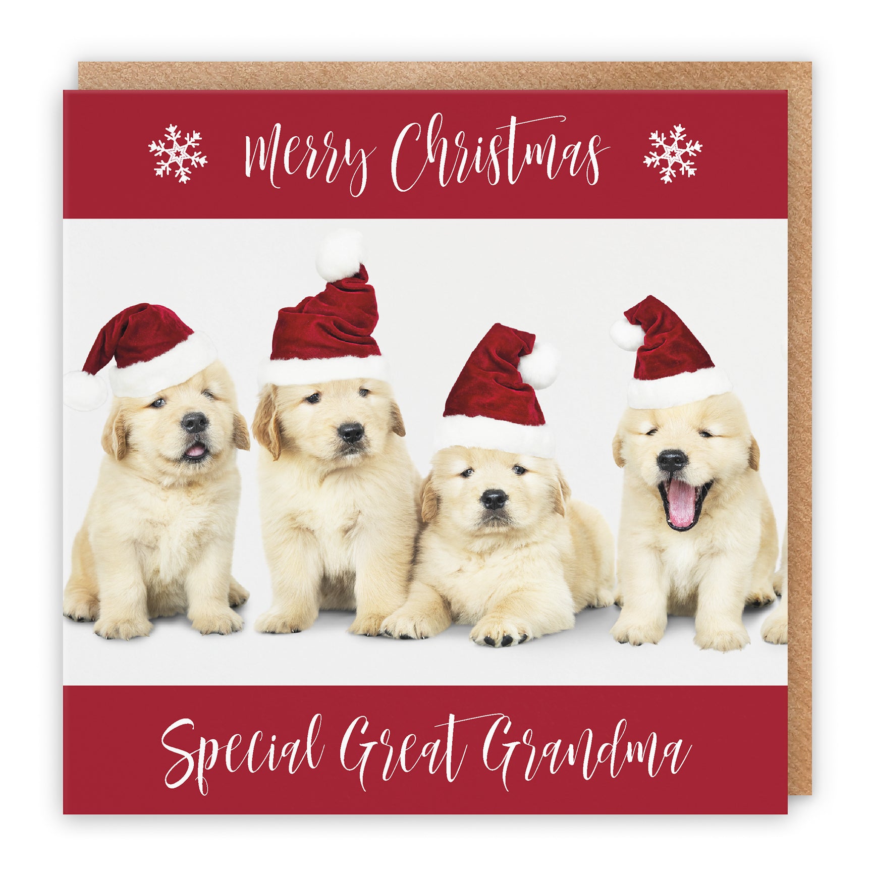 Christmas Card Puppy