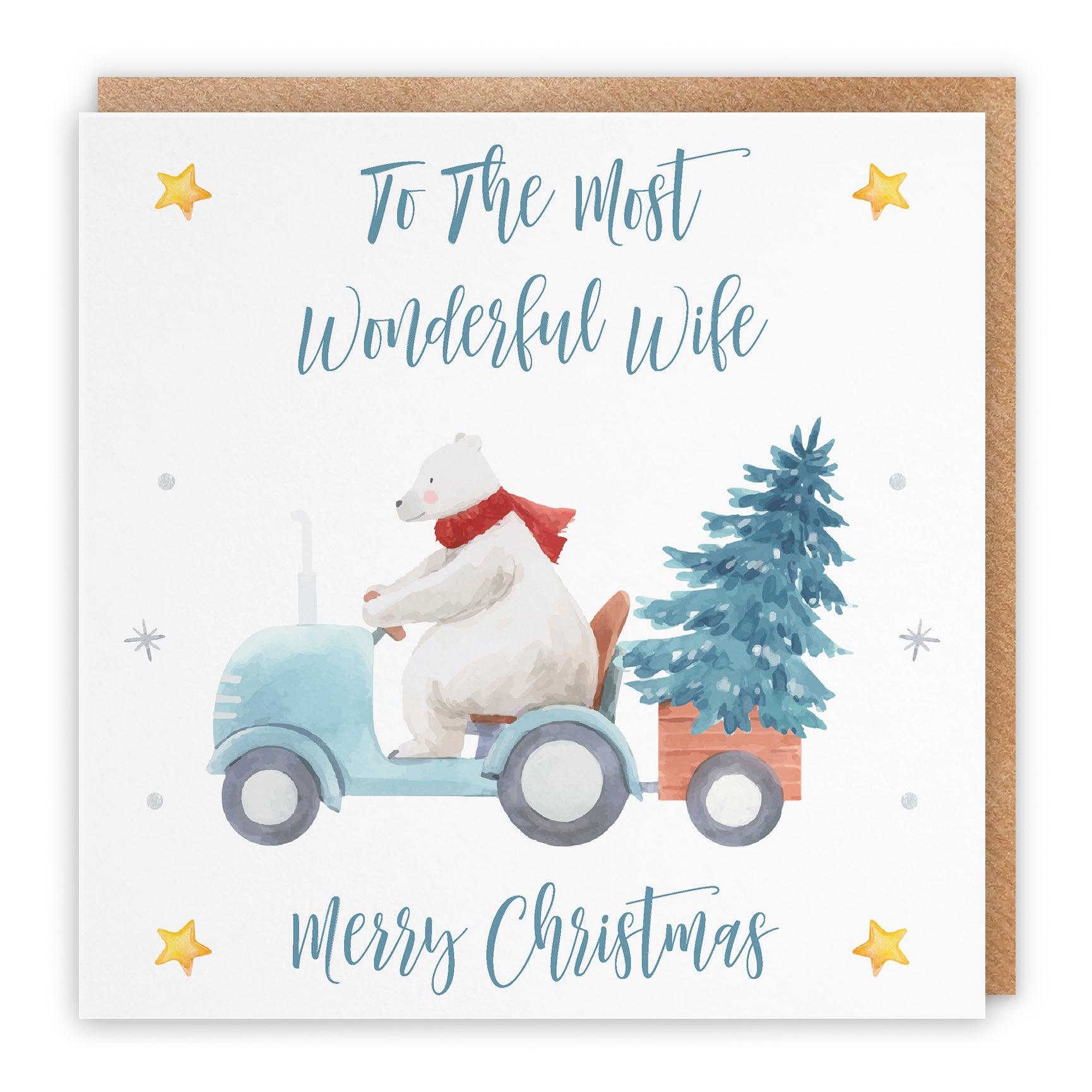 Christmas Card Polar Bear