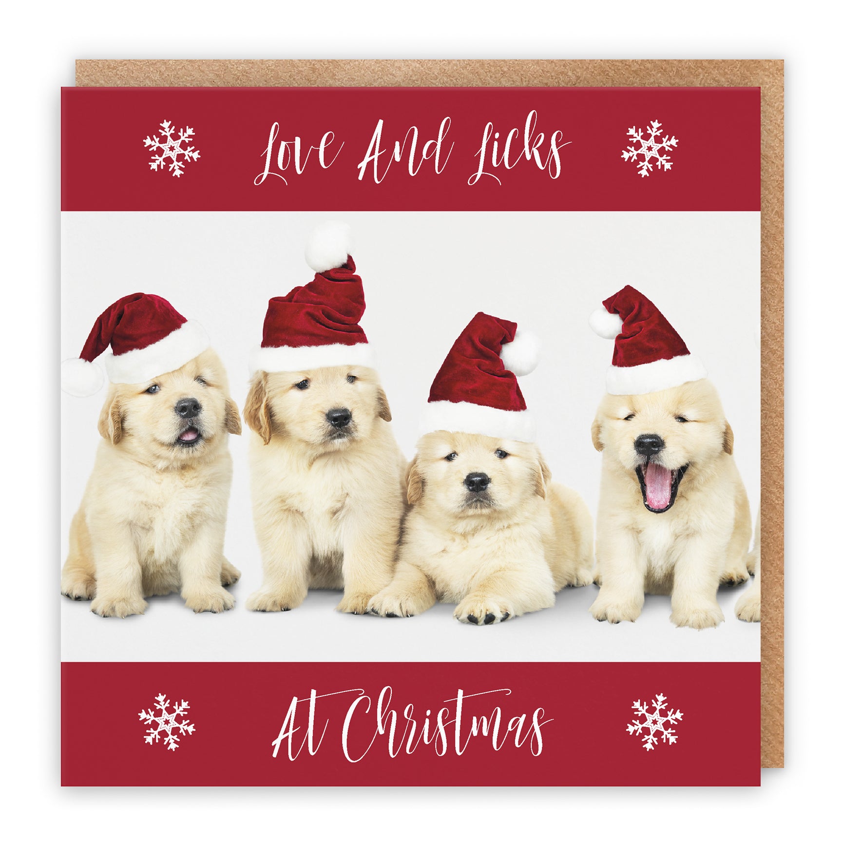 Christmas Card Puppy