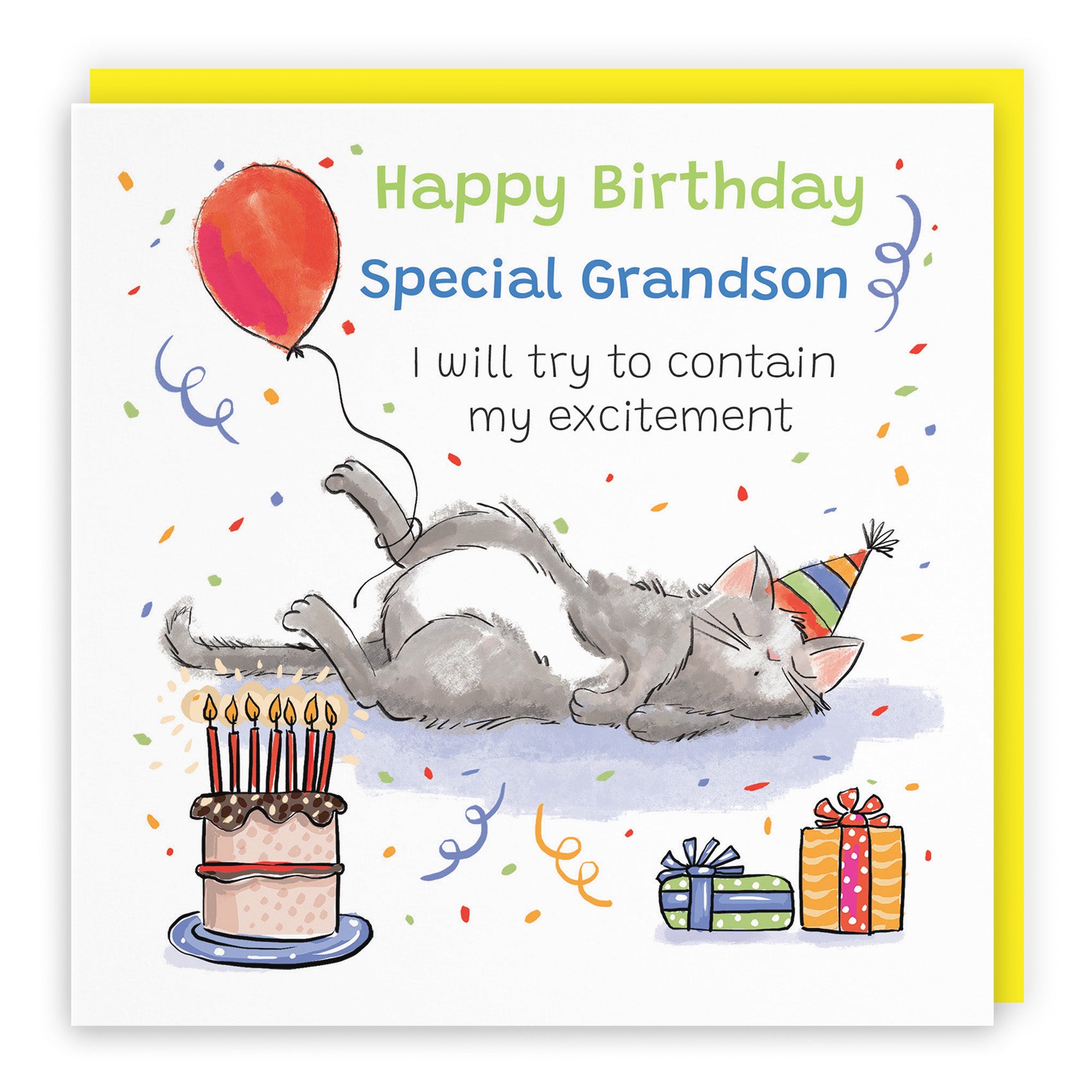 Sleepy Cat Birthday Card Animal Party