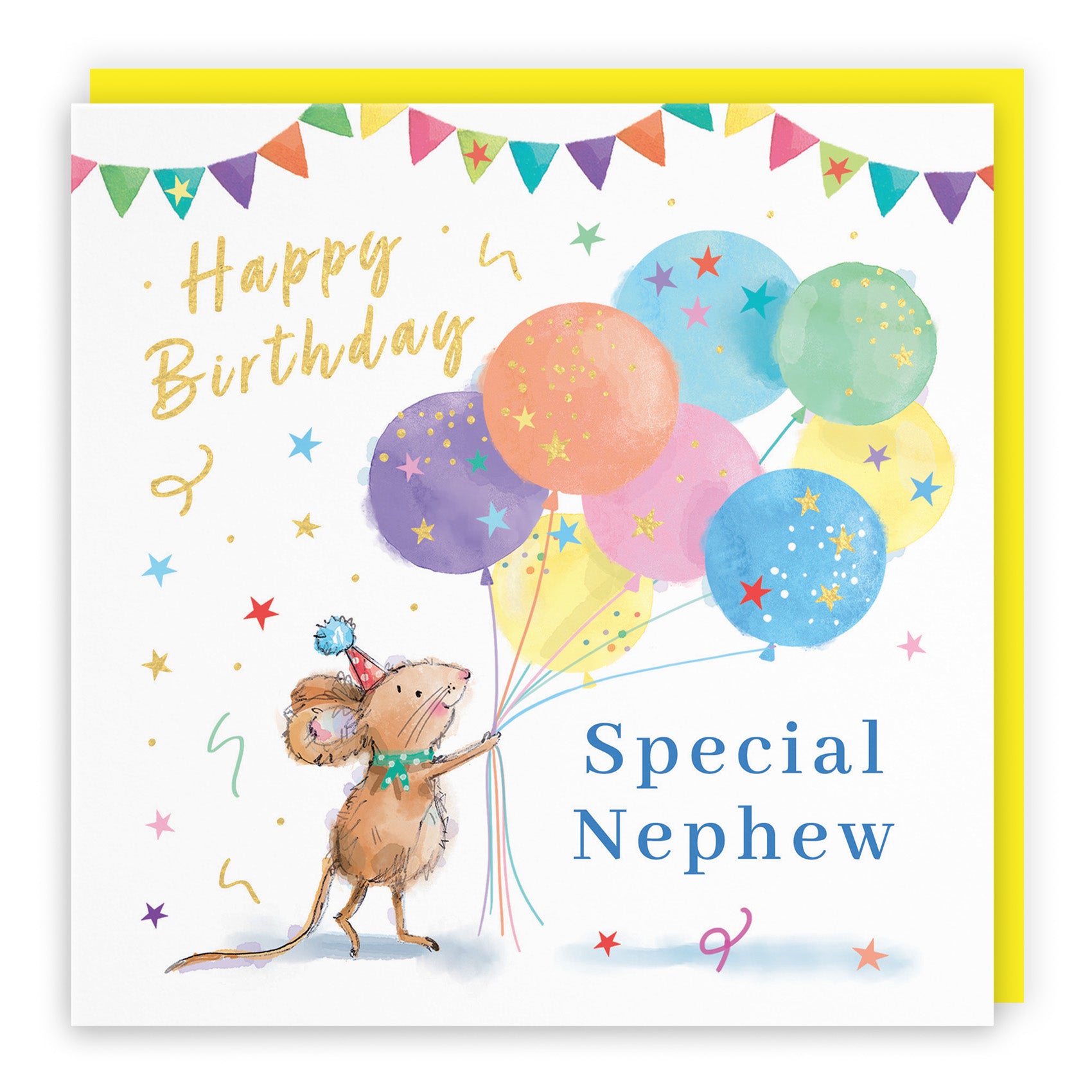 Colourful Balloons Birthday Card Little Whiskers