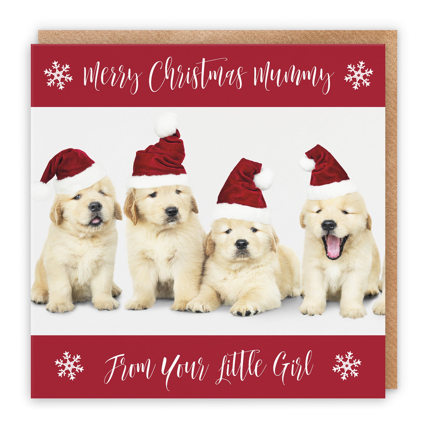 Christmas Card Puppy
