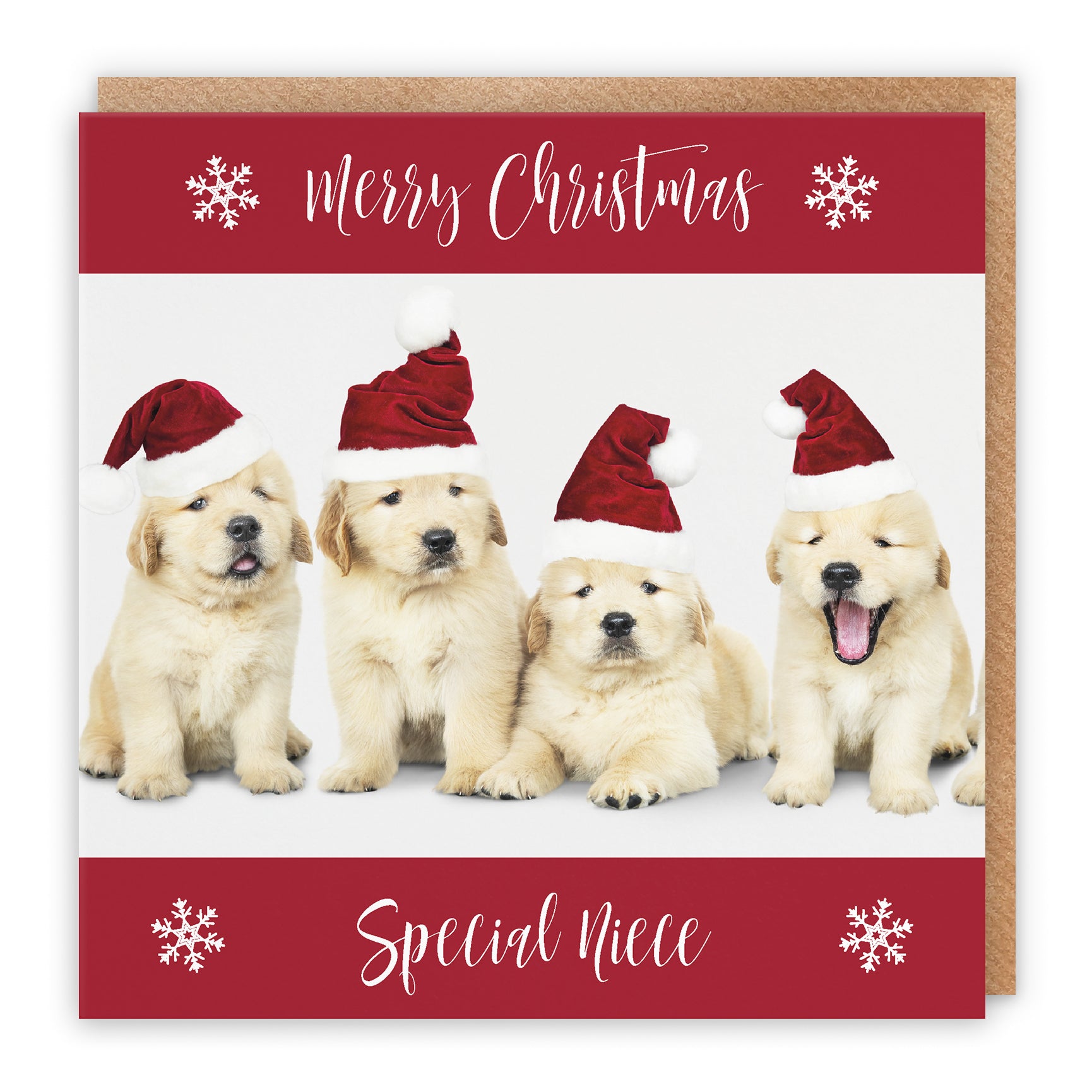 Christmas Card Puppy