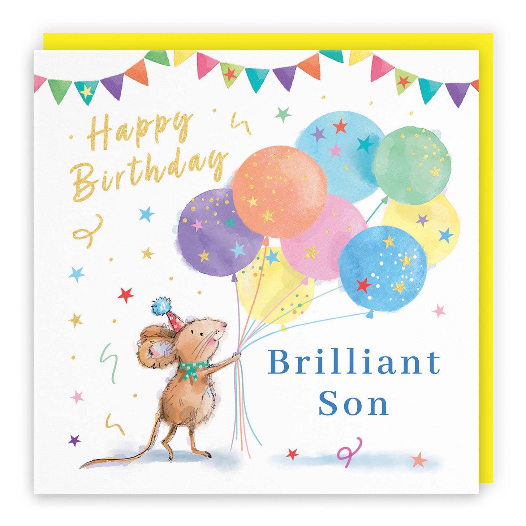 Colourful Balloons Birthday Card Little Whiskers