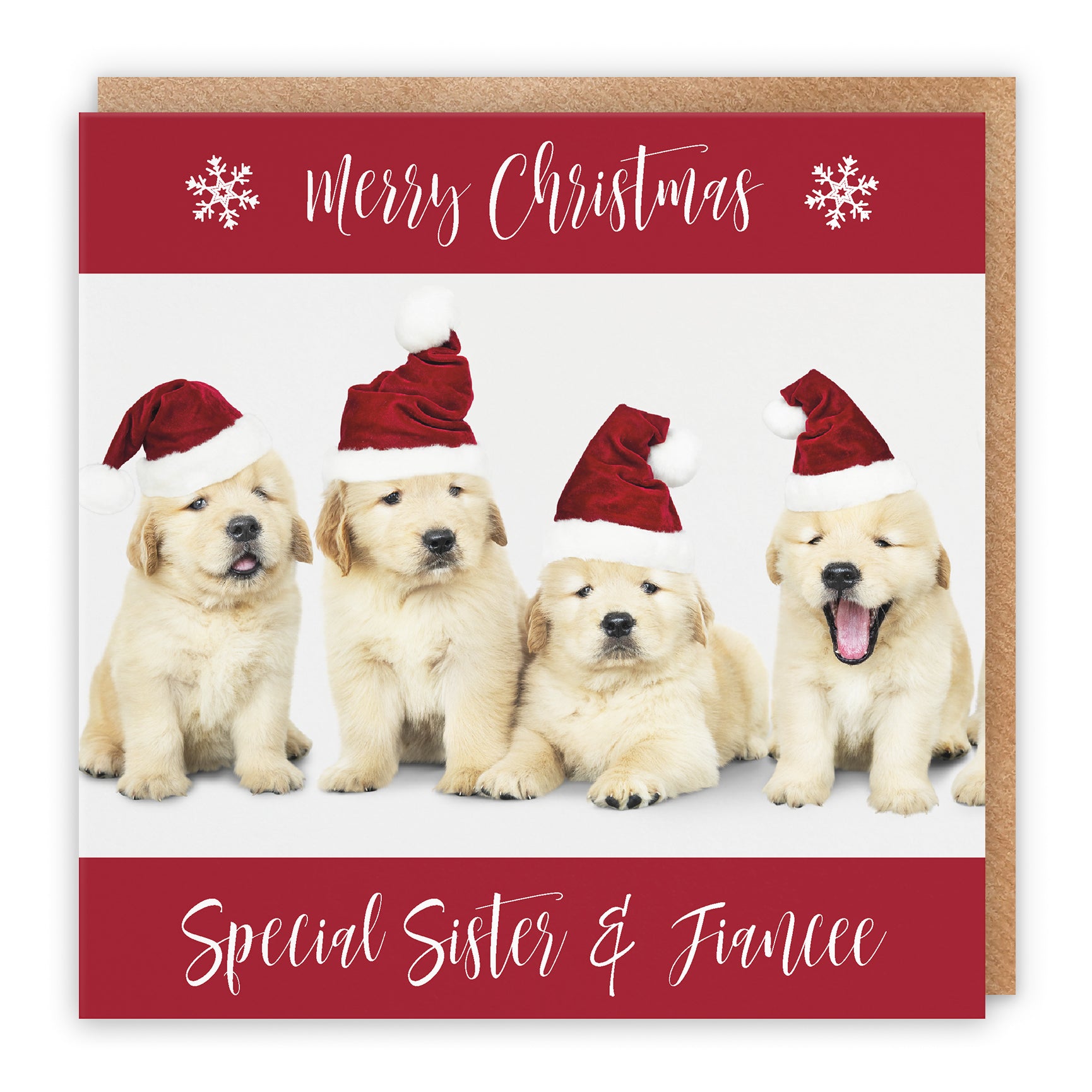 Christmas Card Puppy