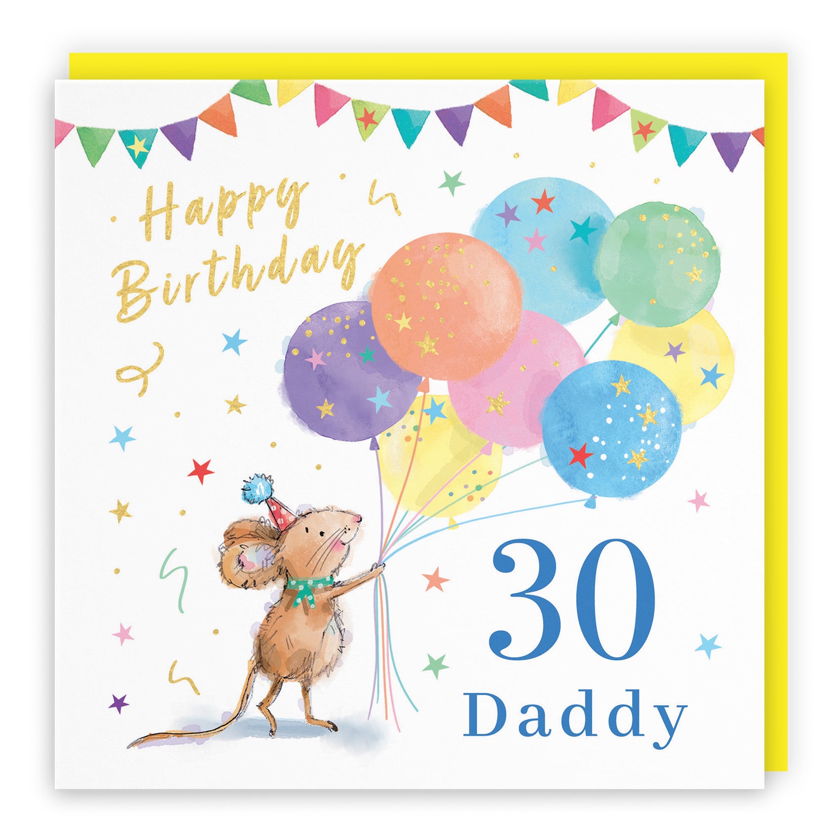 Colourful Balloons Birthday Card Little Whiskers