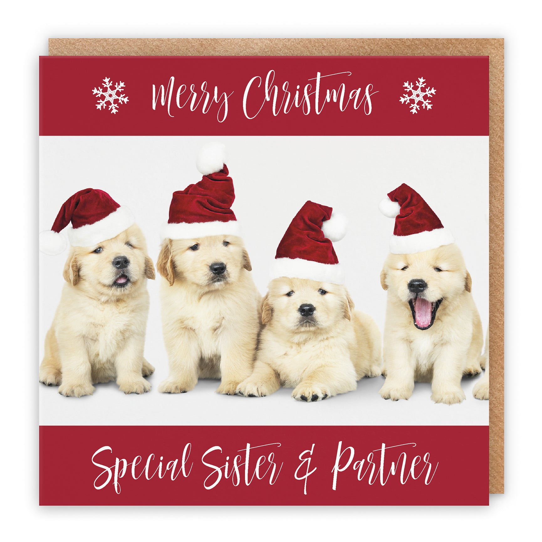 Christmas Card Puppy