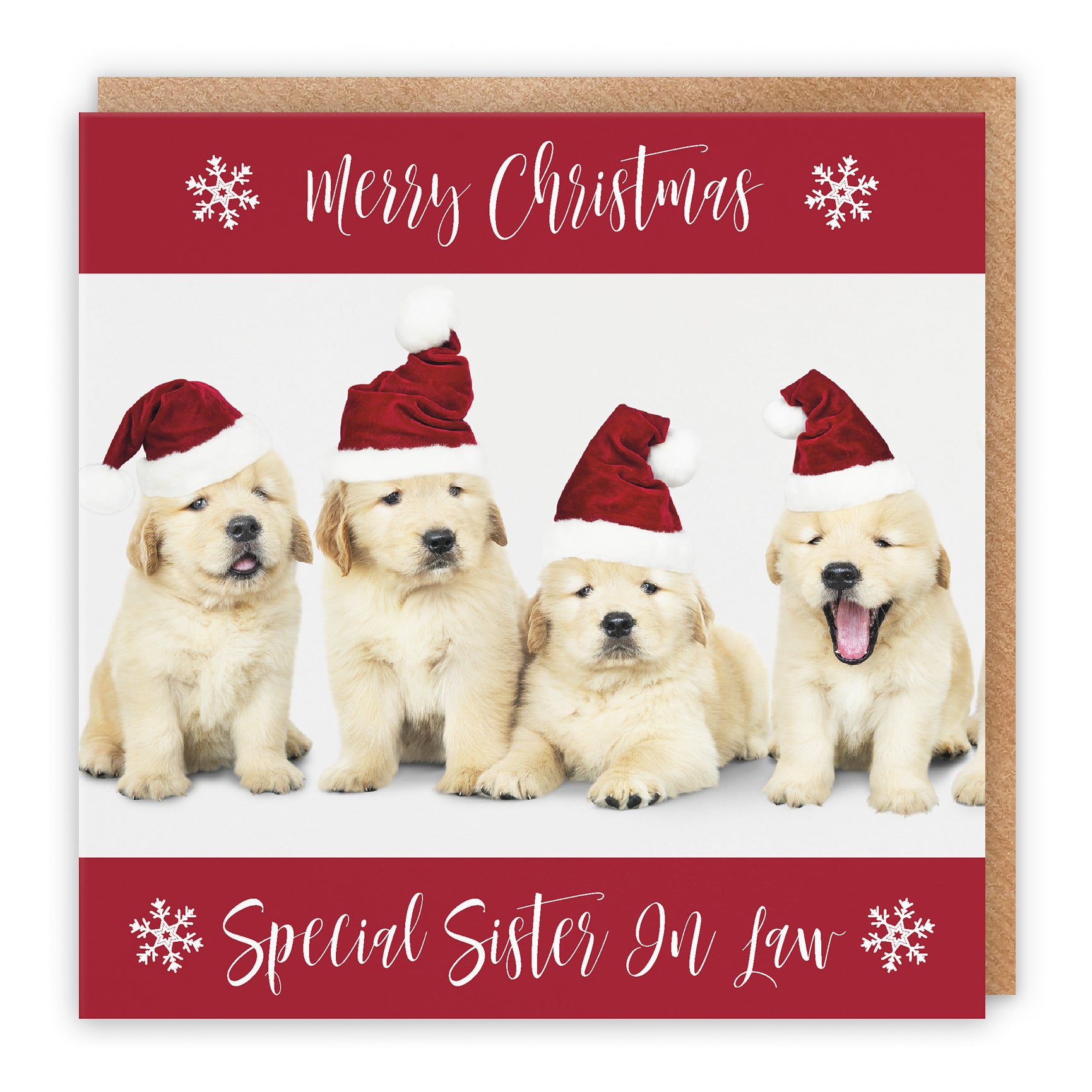 Christmas Card Puppy