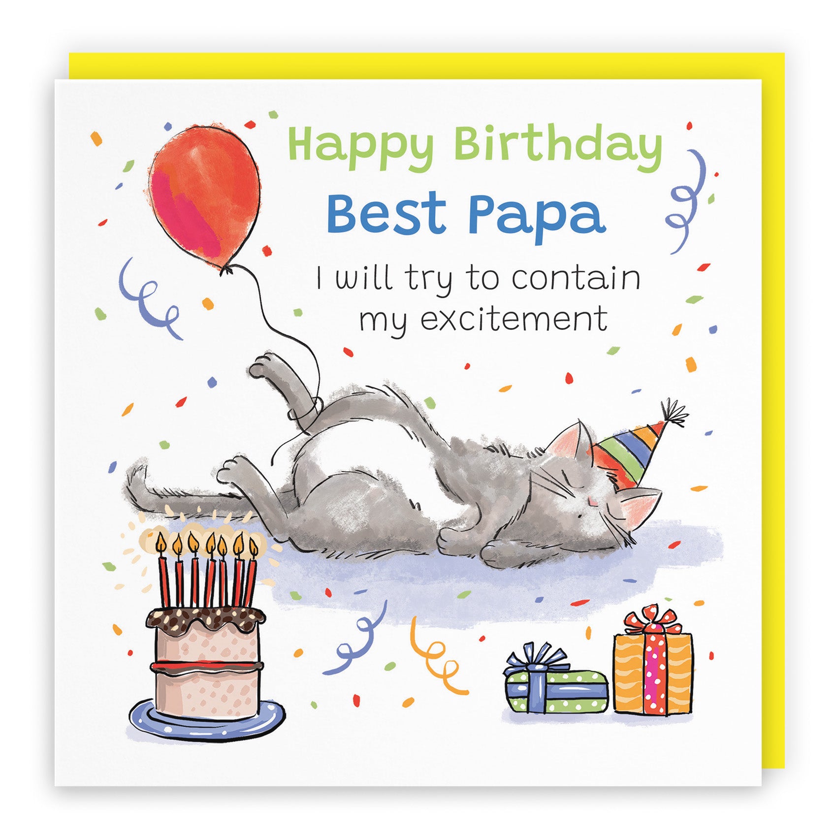 Sleepy Cat Birthday Card Animal Party