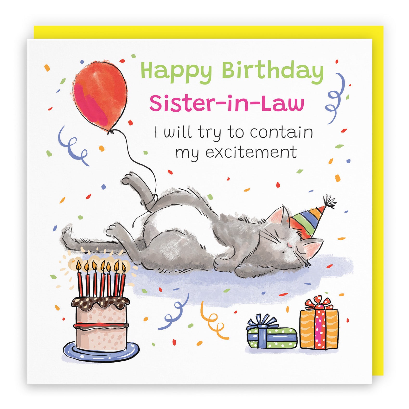 Sleepy Cat Birthday Card Animal Party