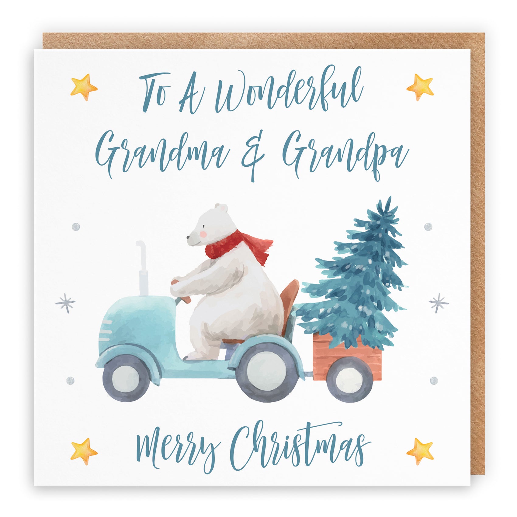 Christmas Card Polar Bear