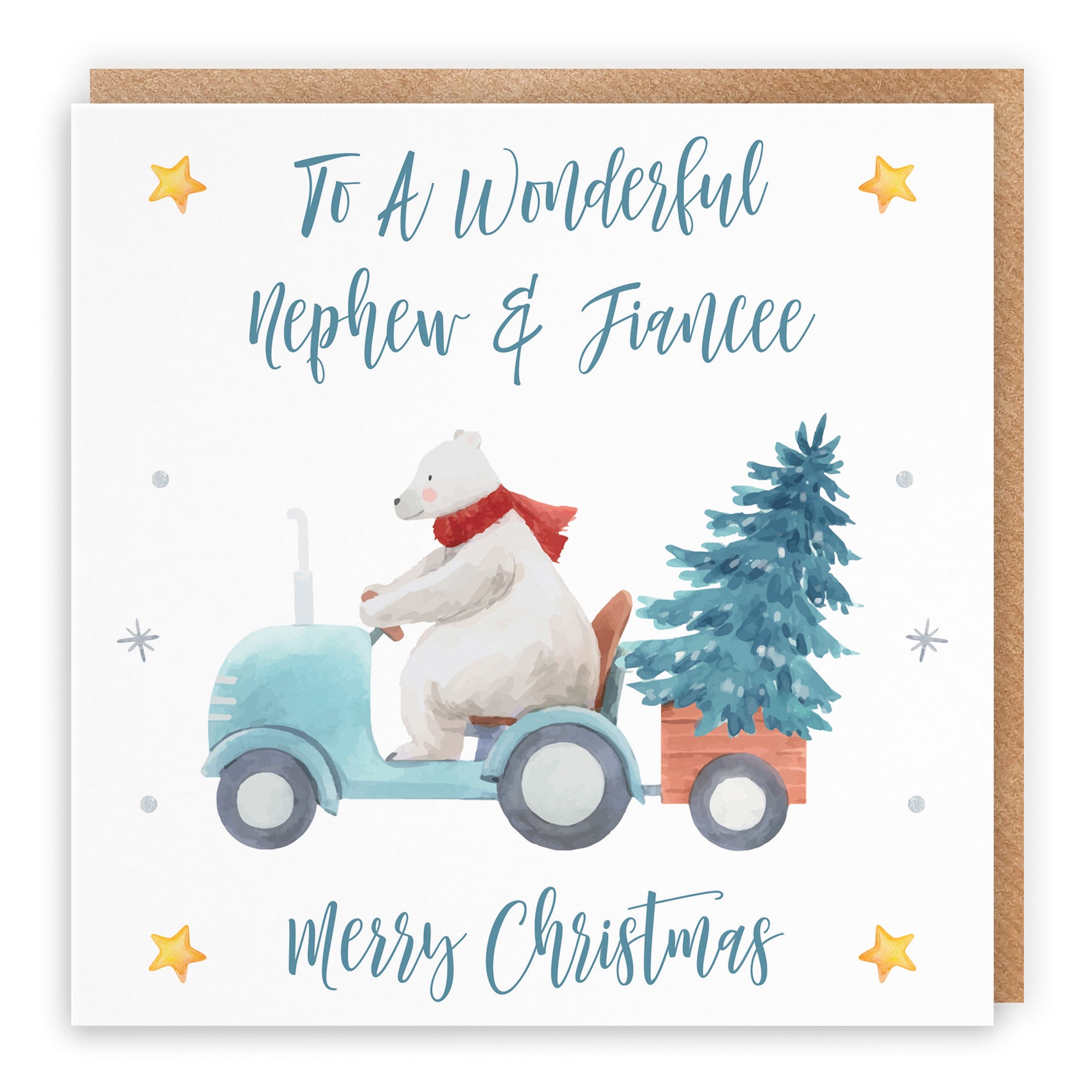 Christmas Card Polar Bear