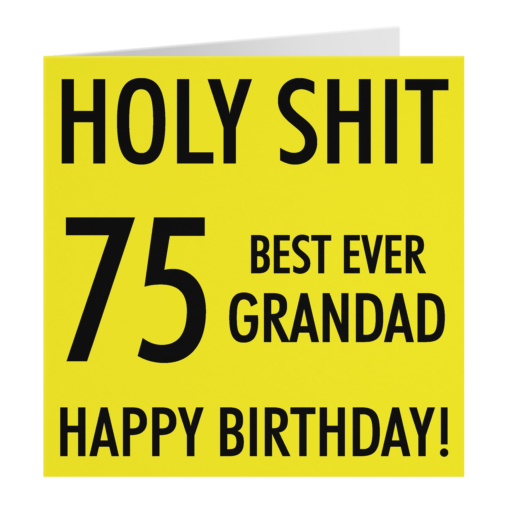 Funny Birthday Card Holy Shit