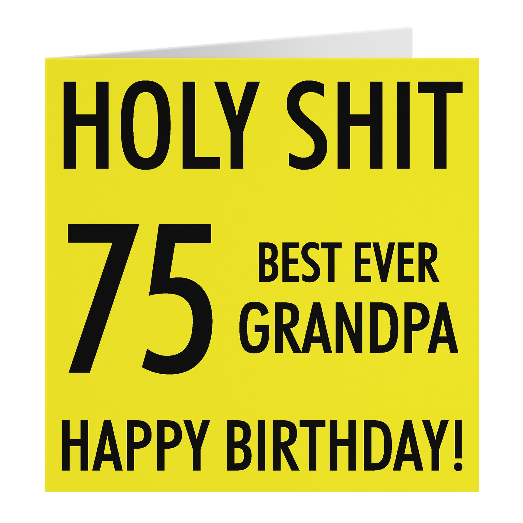 Funny Birthday Card Holy Shit