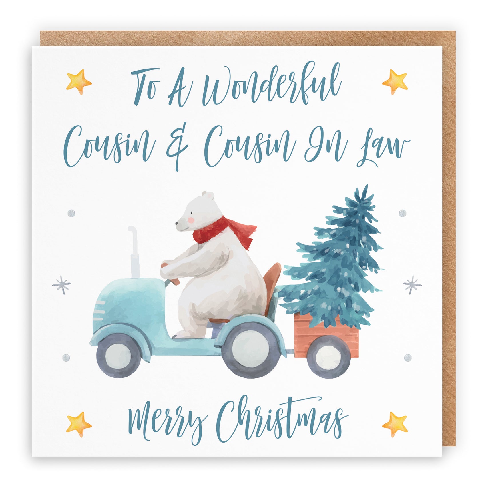 Christmas Card Polar Bear