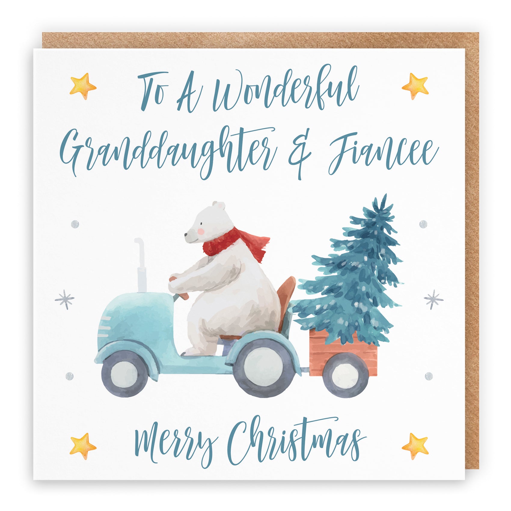 Christmas Card Polar Bear