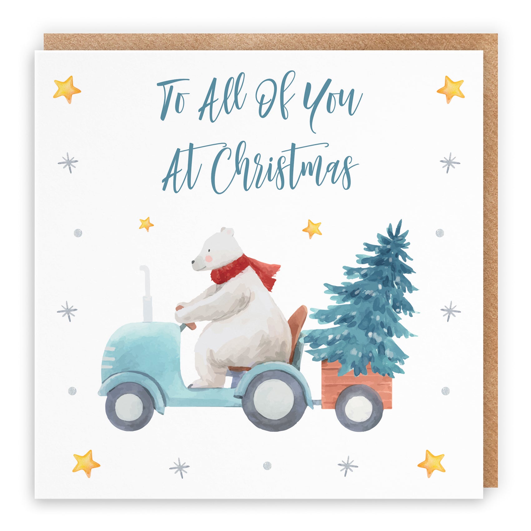 Christmas Card Polar Bear