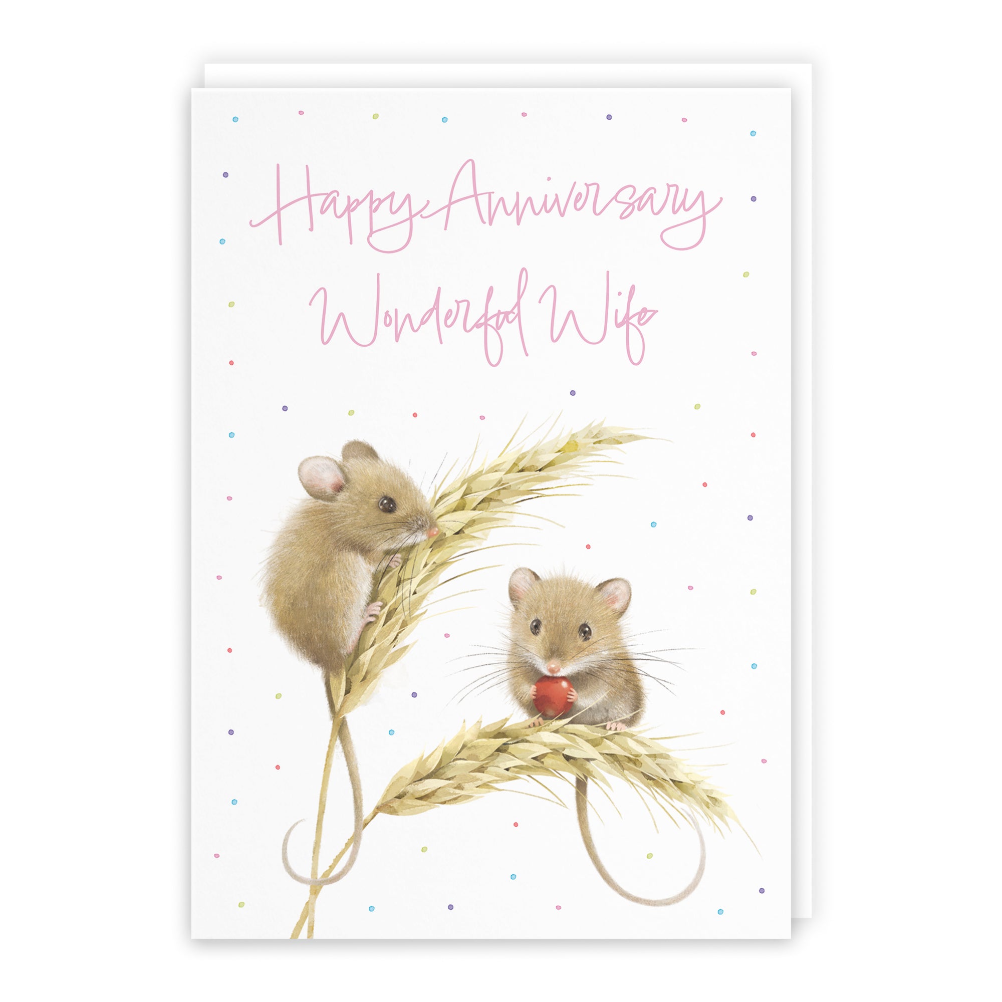 Harvest Mice Anniversary Card Milo's Gallery