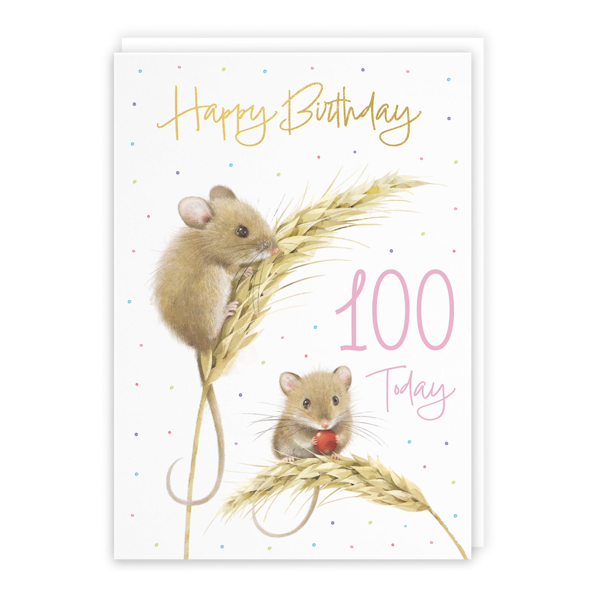 Harvest Mice Birthday Card Milo's Gallery