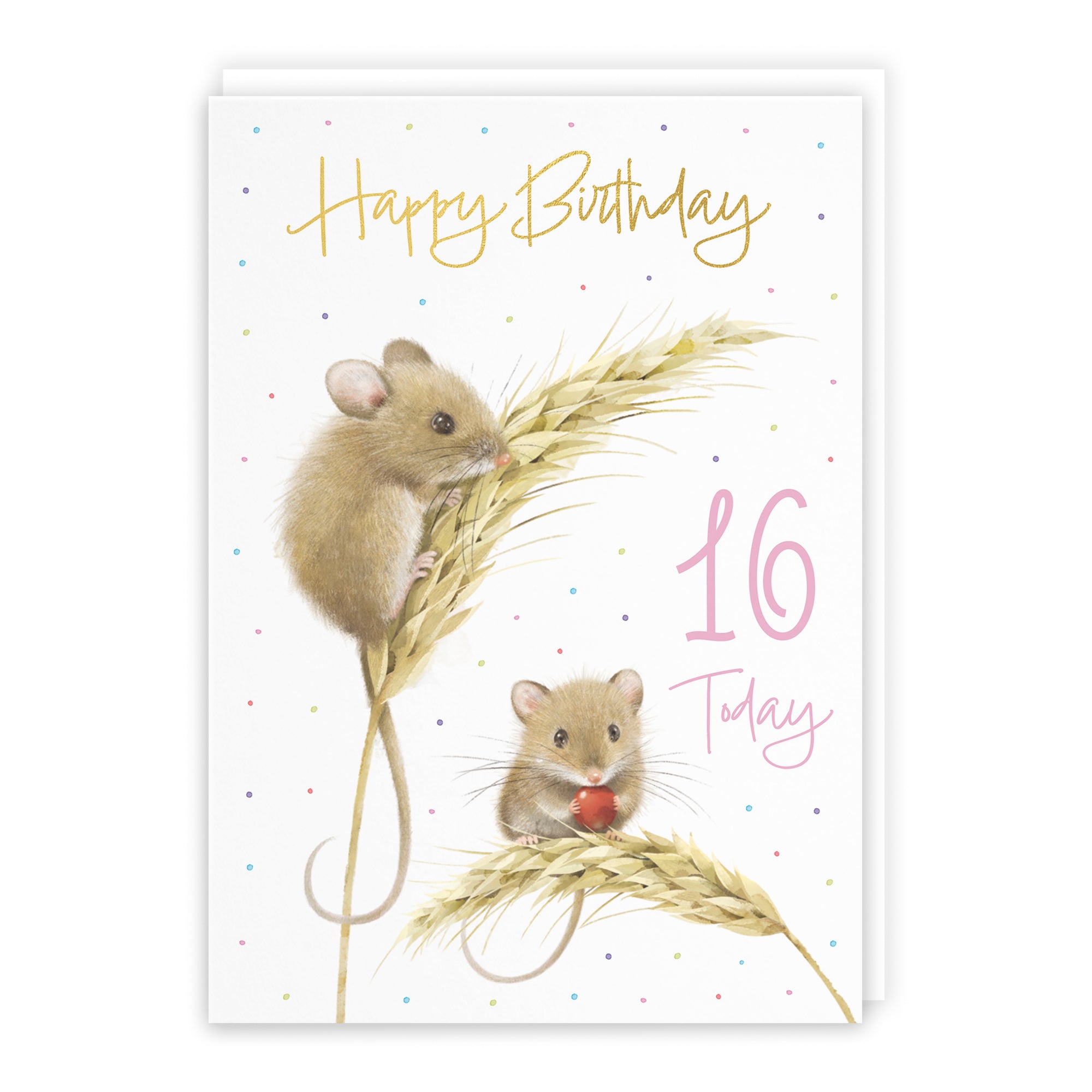 Harvest Mice Birthday Card Milo's Gallery