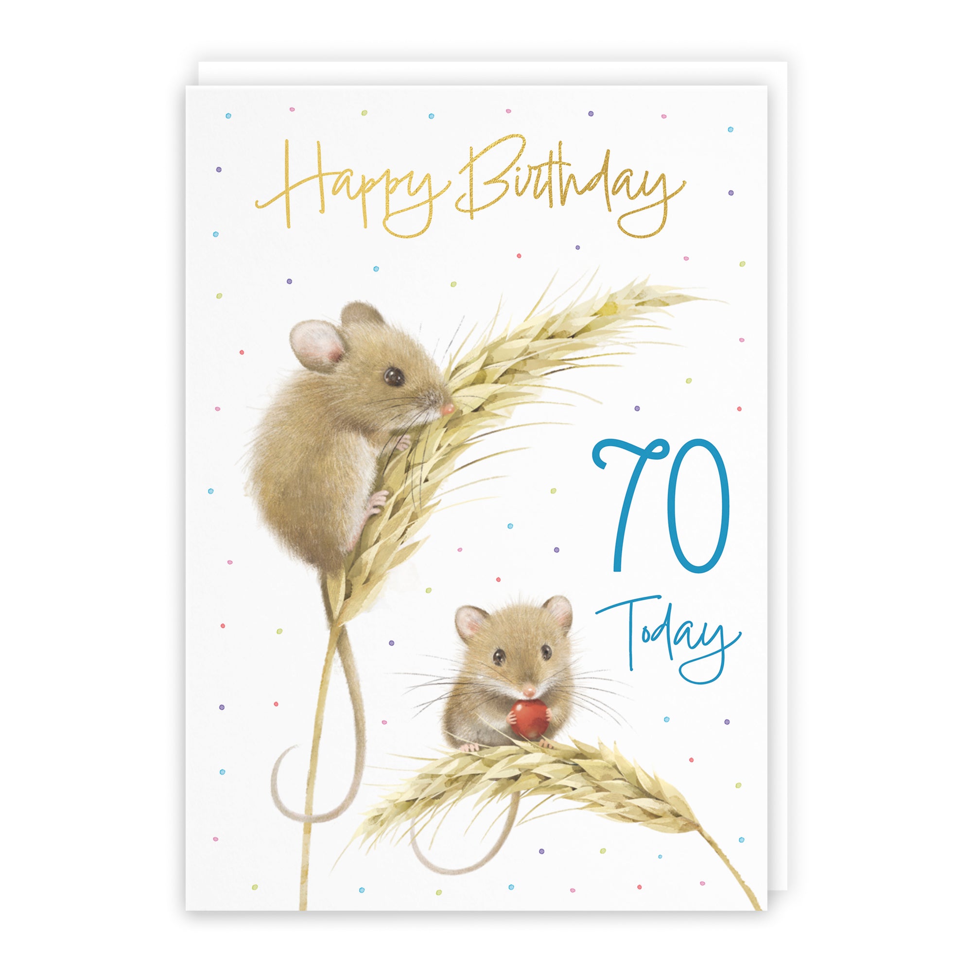 Harvest Mice Birthday Card Milo's Gallery