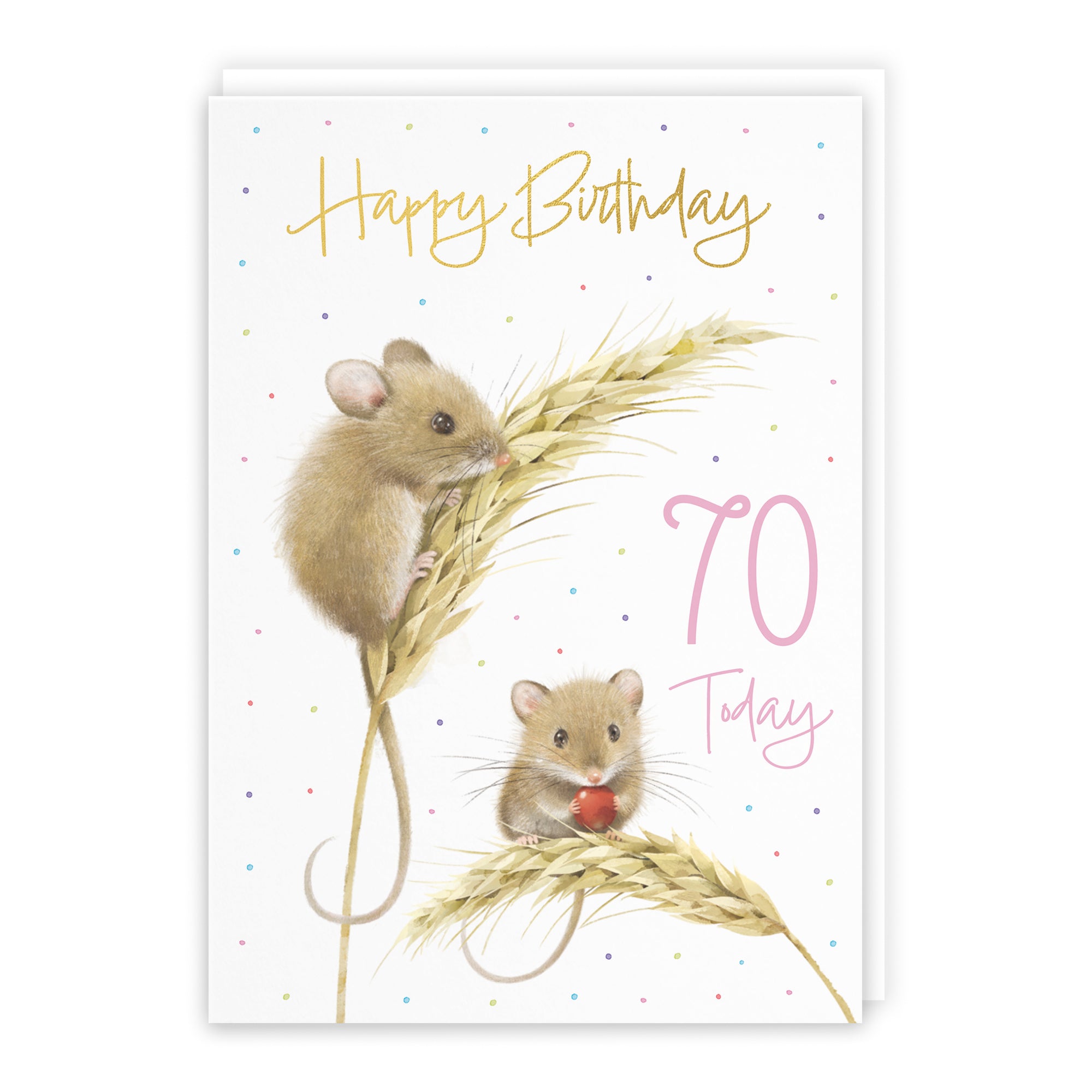 Harvest Mice Birthday Card Milo's Gallery