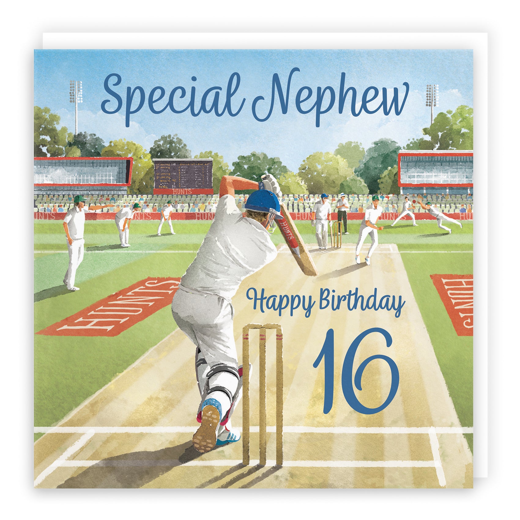 Cricket Birthday Card Milo's Gallery