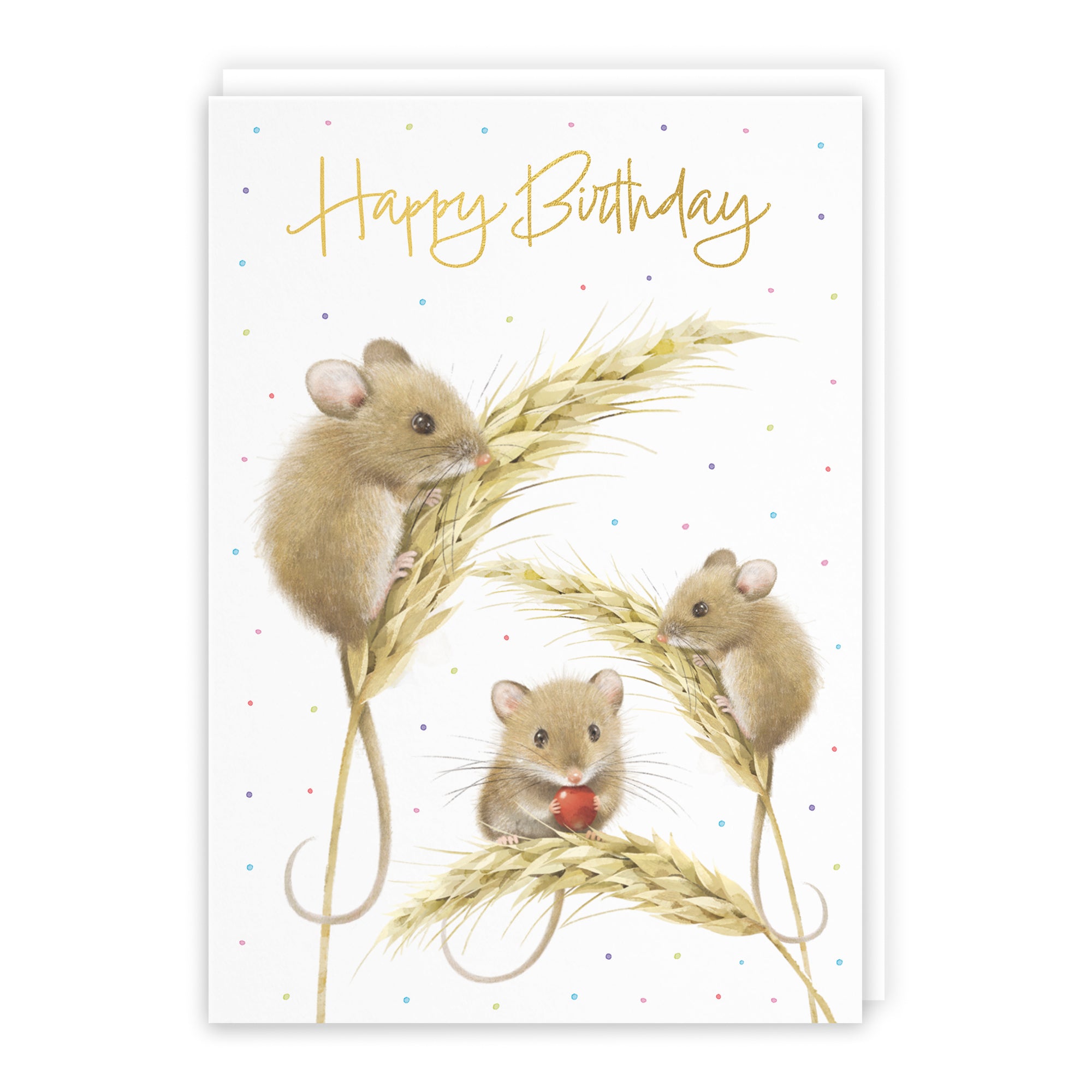 Harvest Mice Birthday Card Milo's Gallery