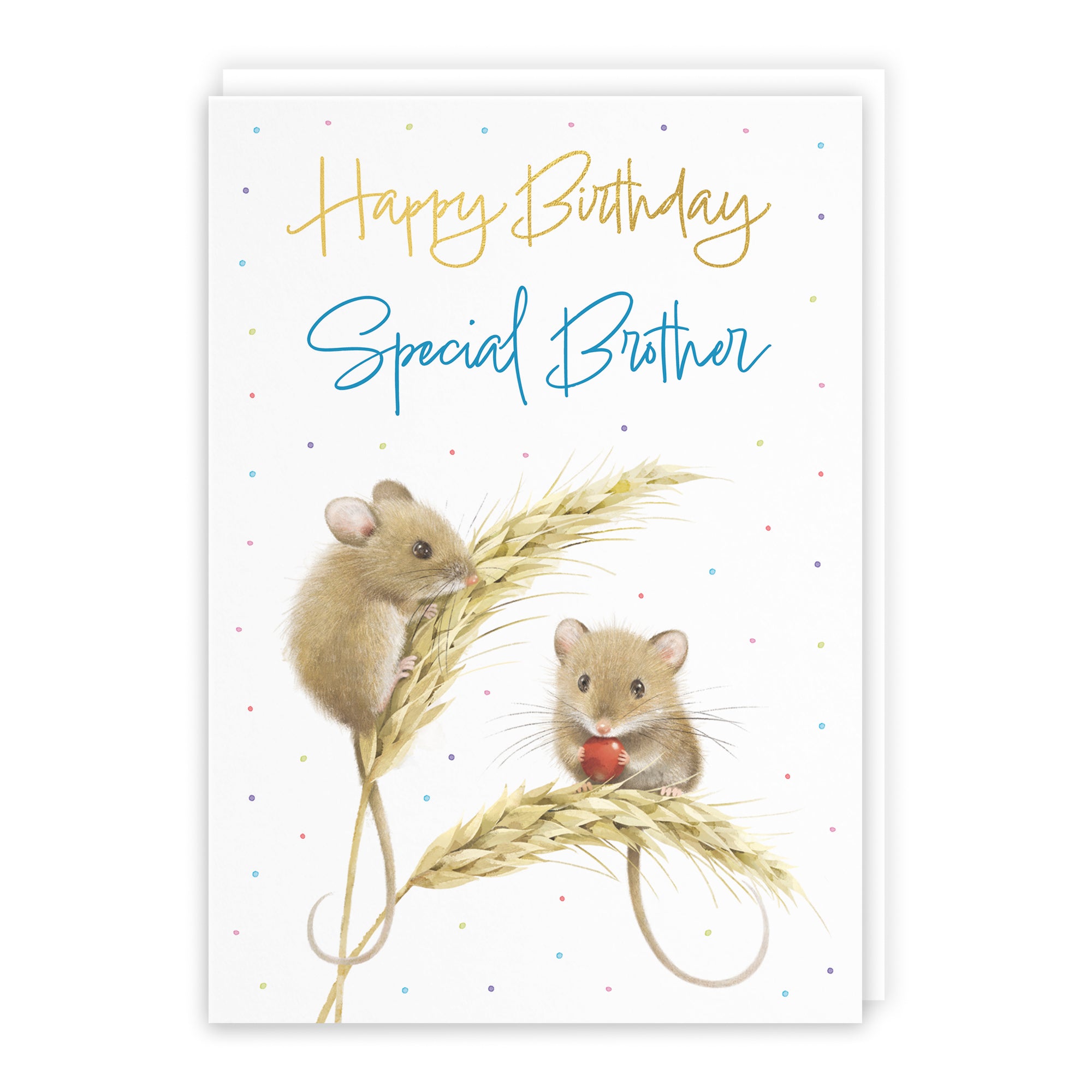 Harvest Mice Birthday Card Milo's Gallery