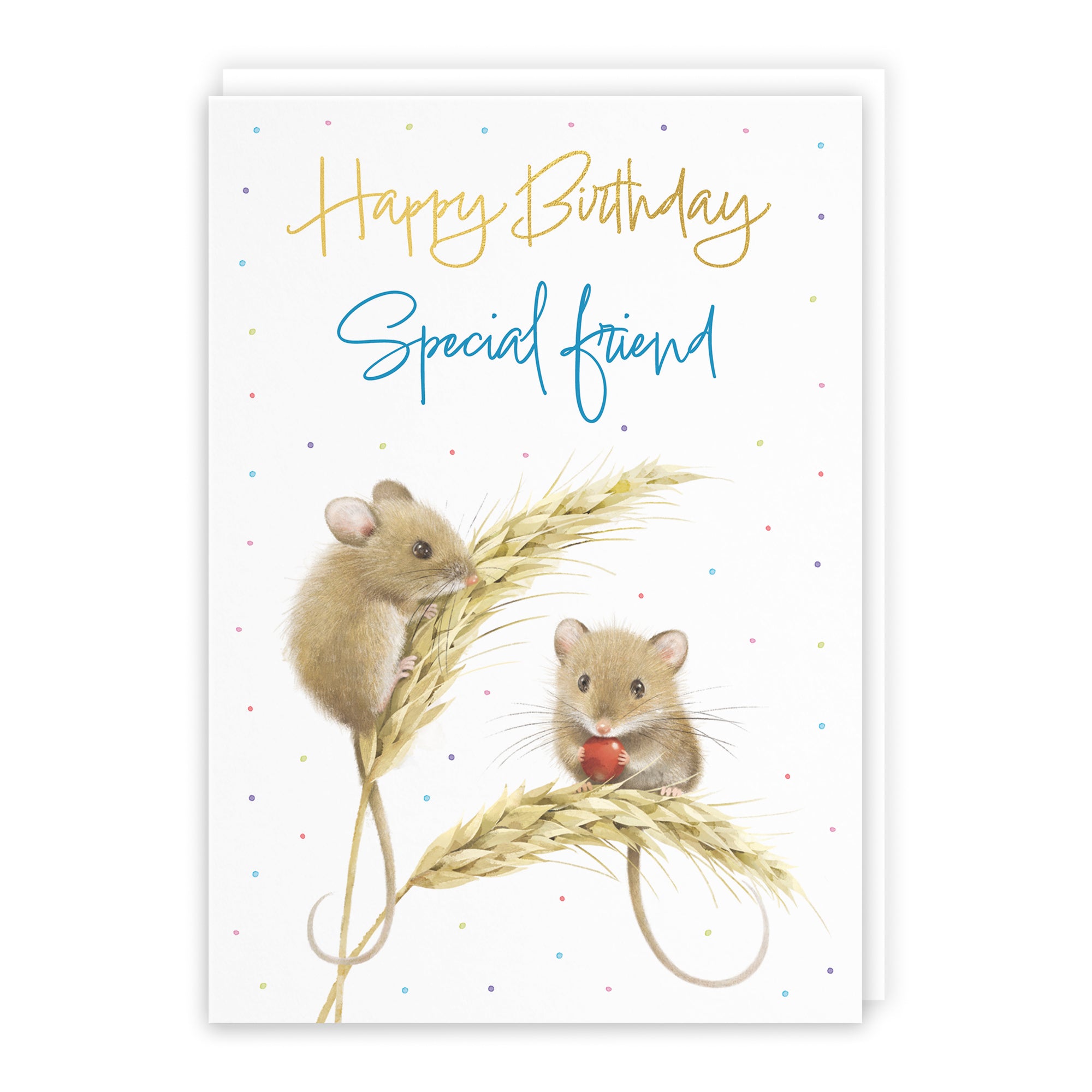 Harvest Mice Birthday Card Milo's Gallery