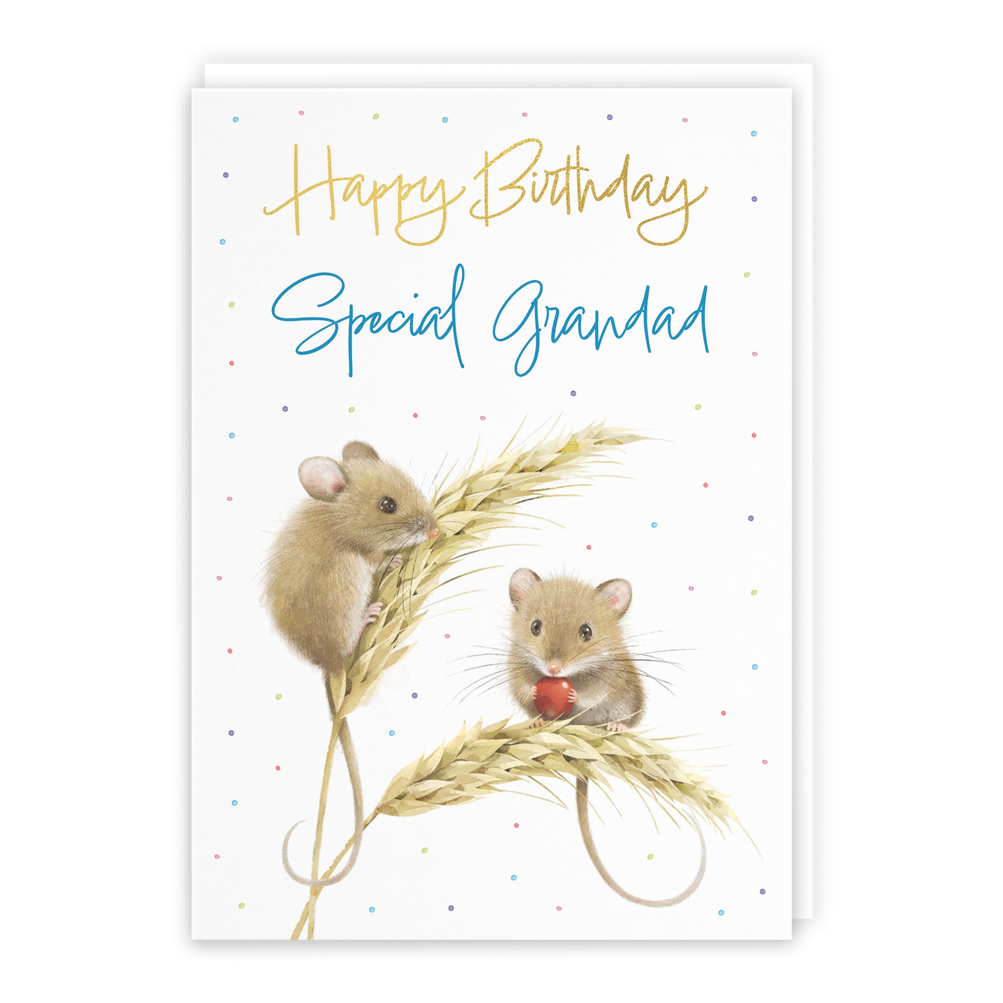 Harvest Mice Birthday Card Milo's Gallery