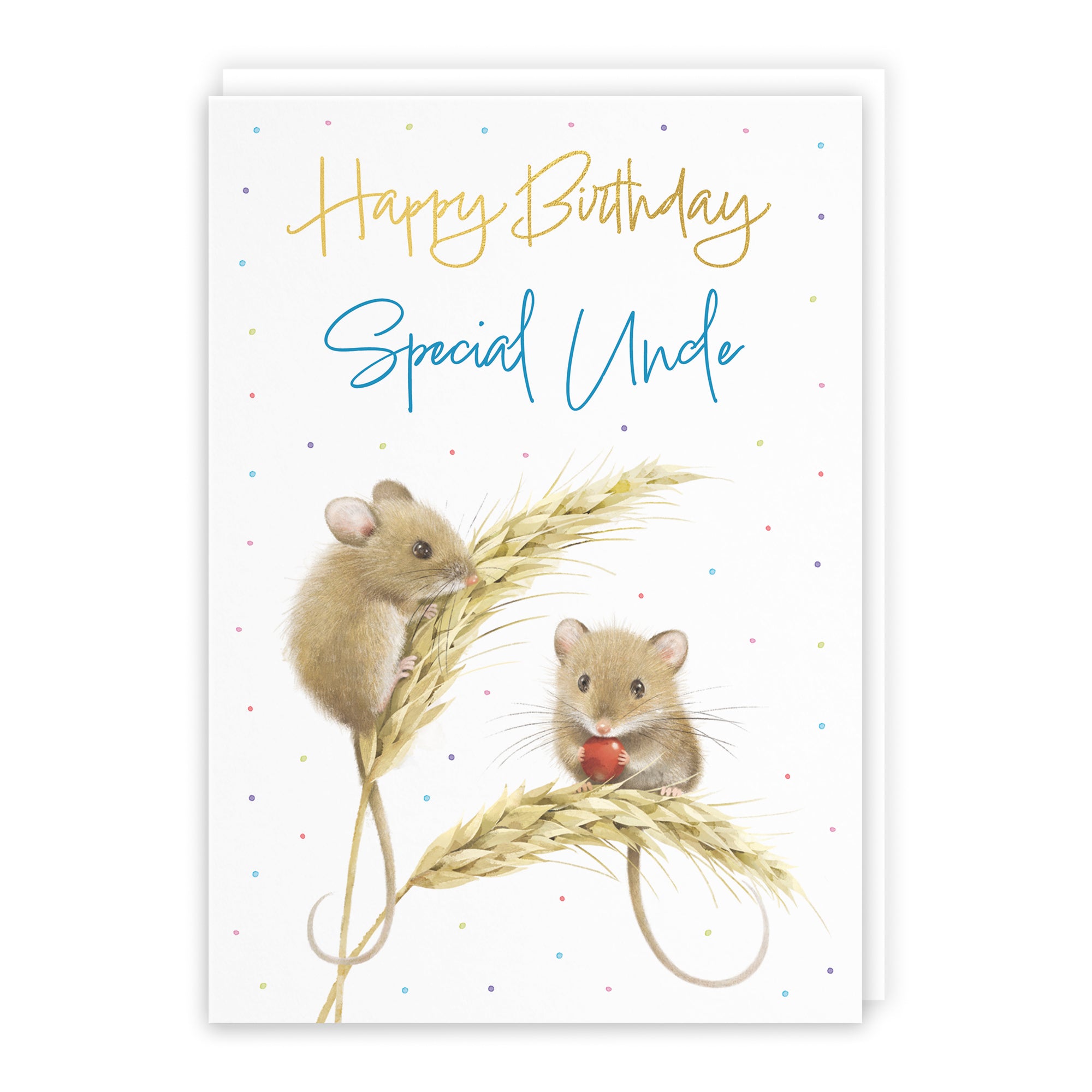 Harvest Mice Birthday Card Milo's Gallery