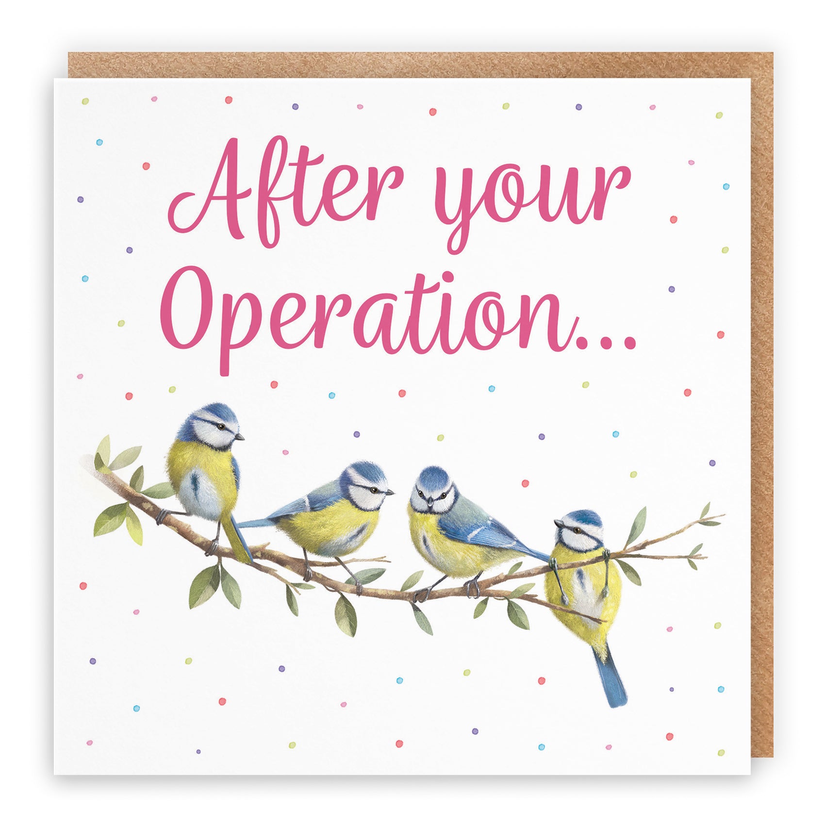 Blue Tits Get Well Card Milo's Gallery