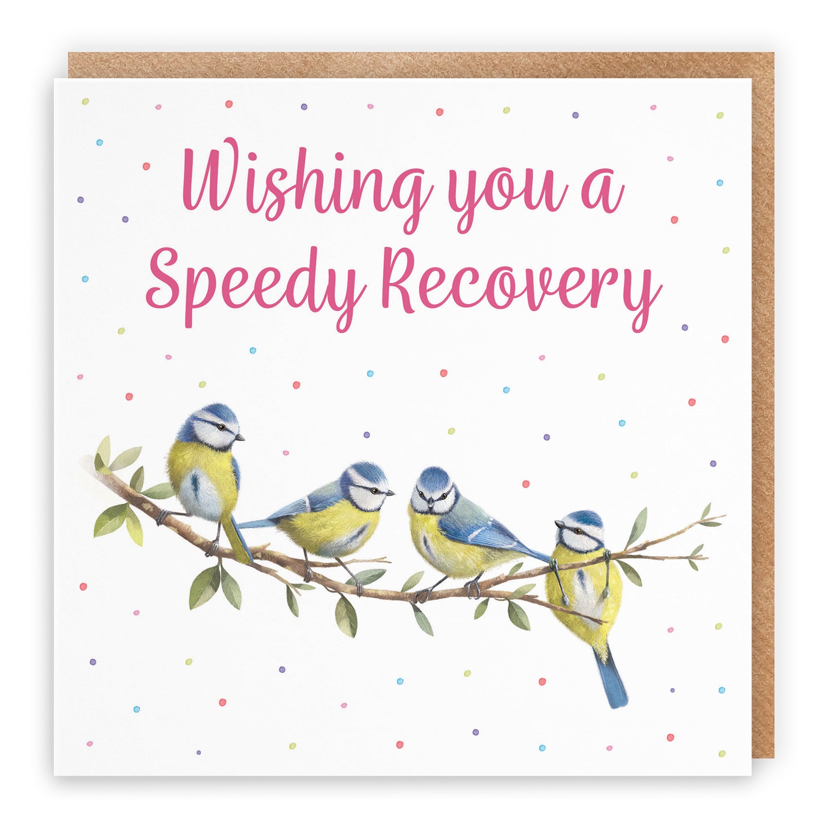 Blue Tits Get Well Card Milo's Gallery