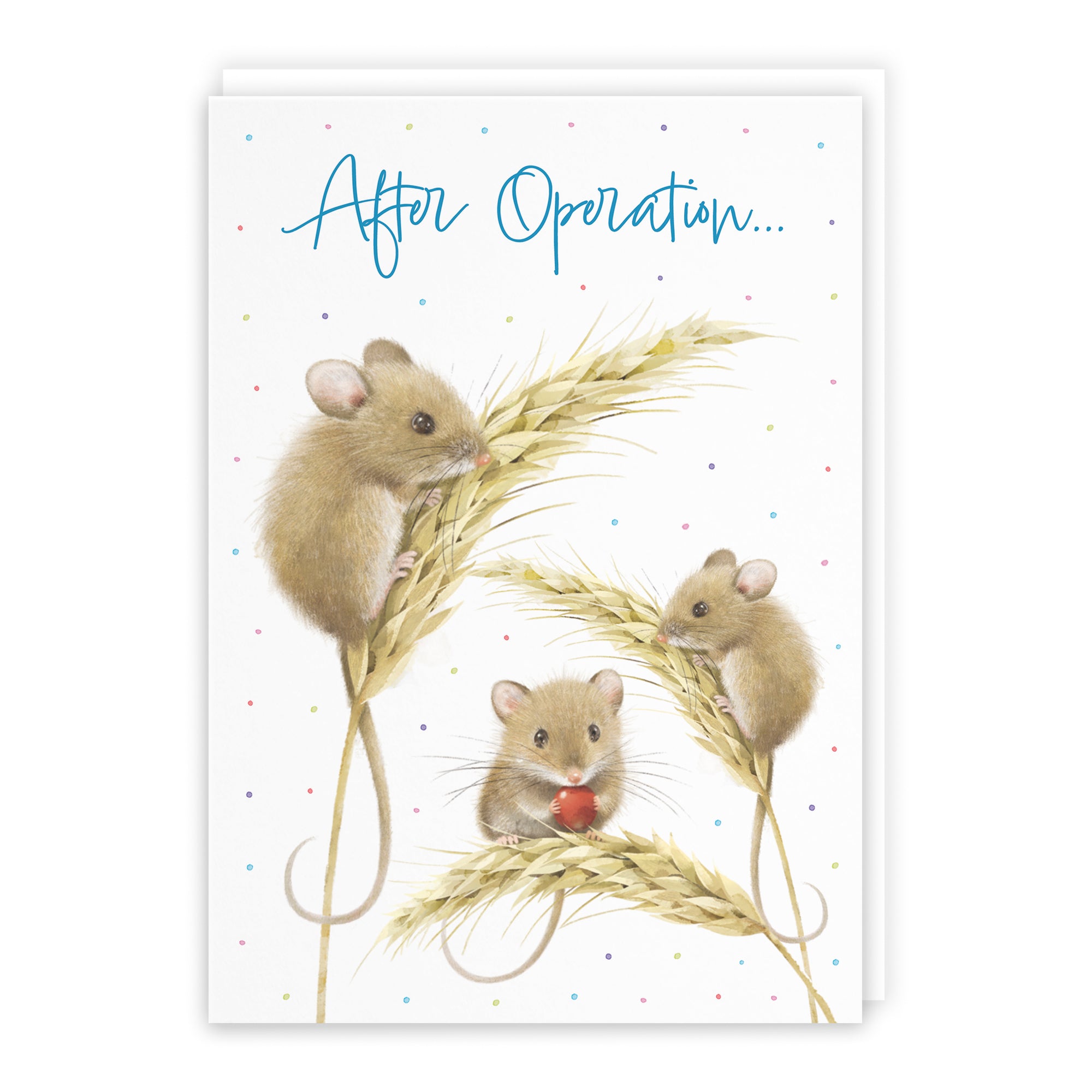 Harvest Mice Get Well Card Milo's Gallery