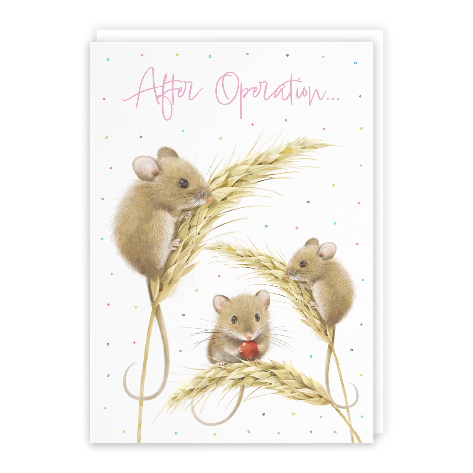 Harvest Mice Get Well Card Milo's Gallery